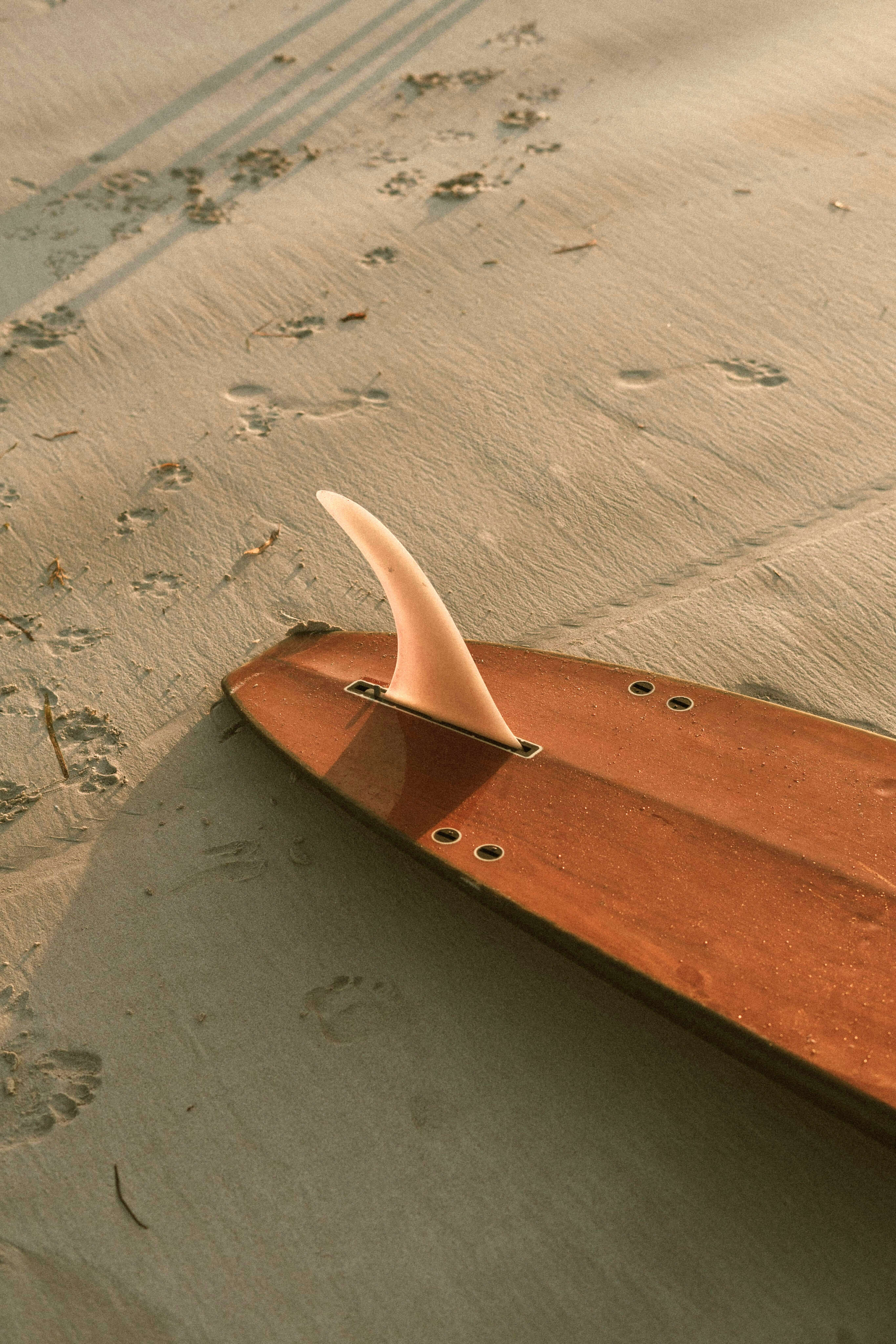 Best surf spots